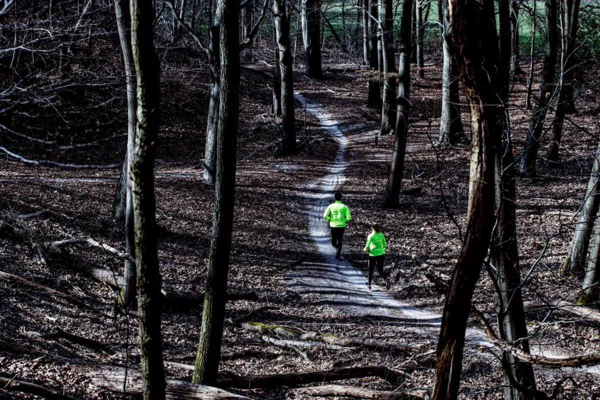 damskawiatrwkadobieganiarogellicoreodblaskowota_8.webp Rogelli Łyżworolki | Wszystkie Produkty<DamskawiatrówkadobieganiaCORE,odblaskowożółta