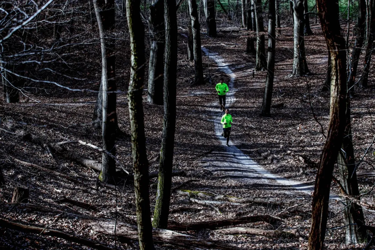 damskawiatrwkadobieganiarogellicoreodblaskowota_9.webp Rogelli Łyżworolki | Wszystkie Produkty<DamskawiatrówkadobieganiaCORE,odblaskowożółta